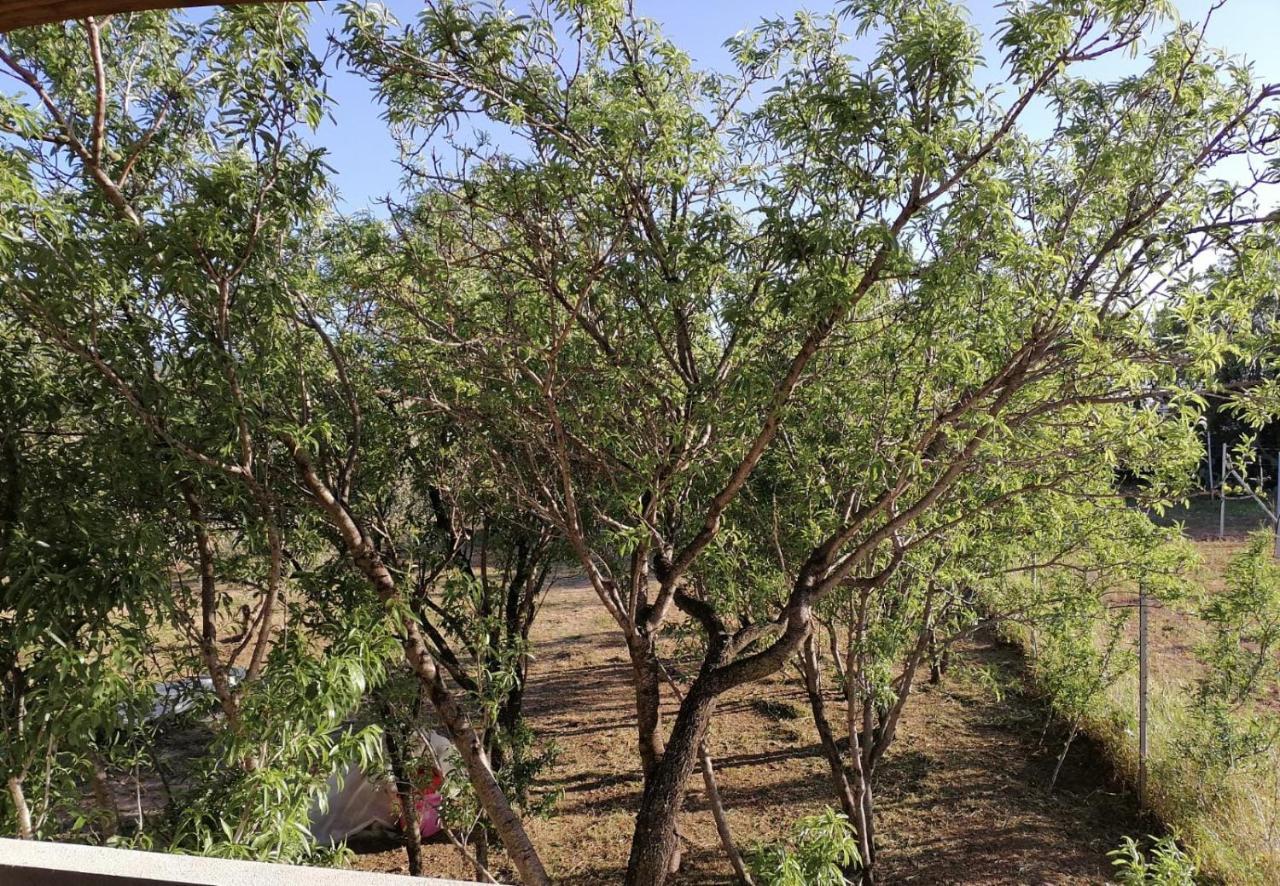 Agriturismo "Pirastreri" Siniscola Dış mekan fotoğraf