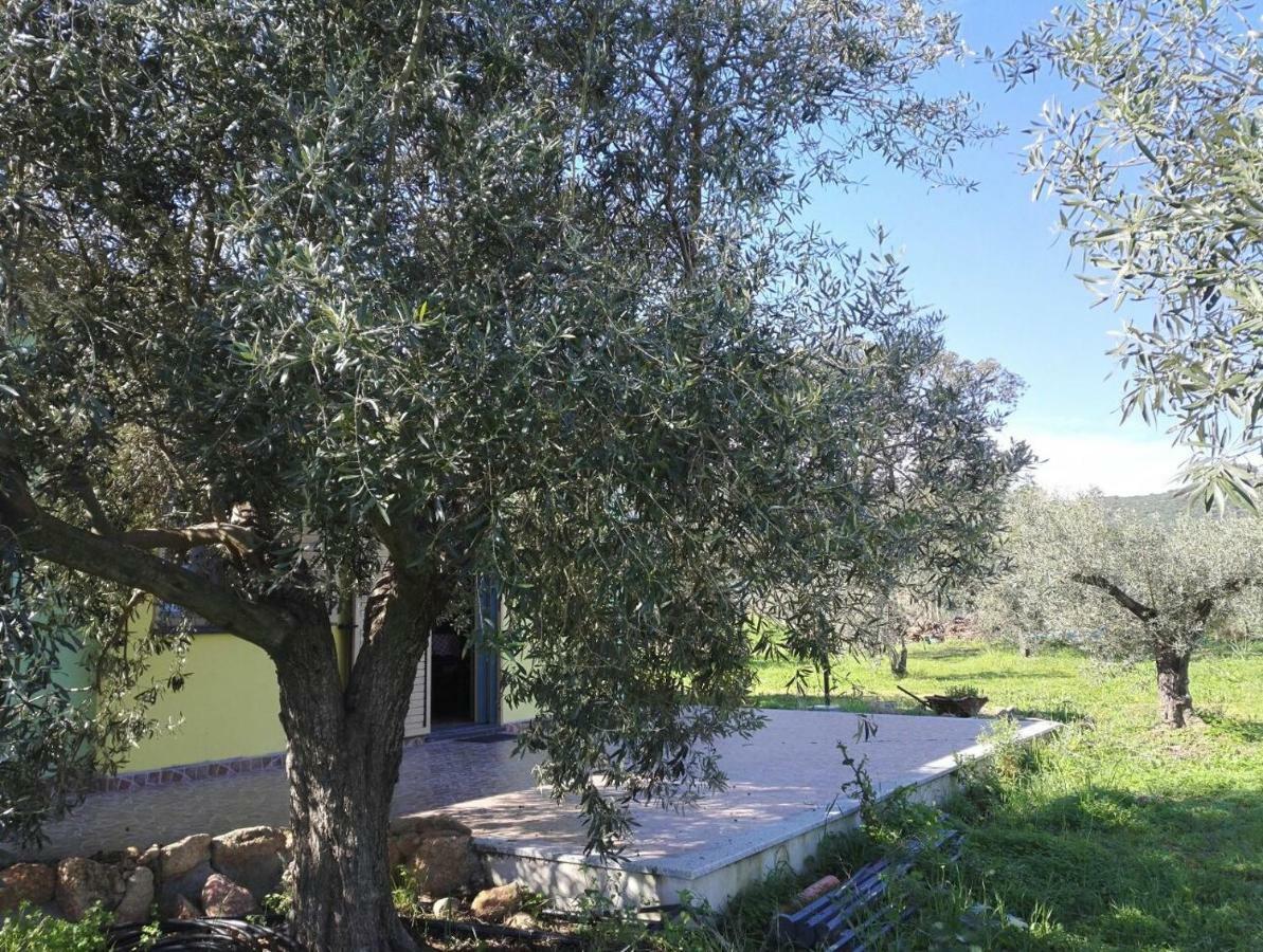 Agriturismo "Pirastreri" Siniscola Dış mekan fotoğraf